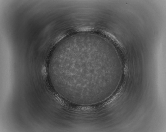 X0000116051209200911271211