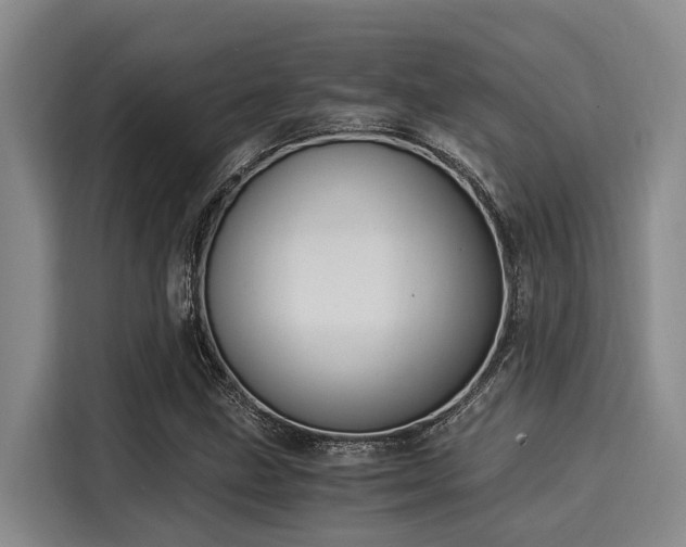 X0000116051211200911271211