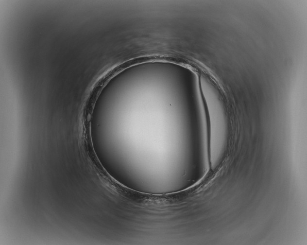 X0000116051215200911271211