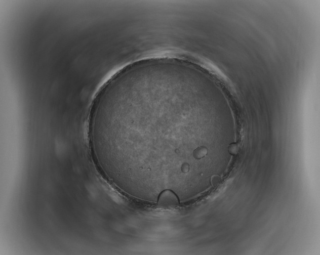 X0000116051216200911271211