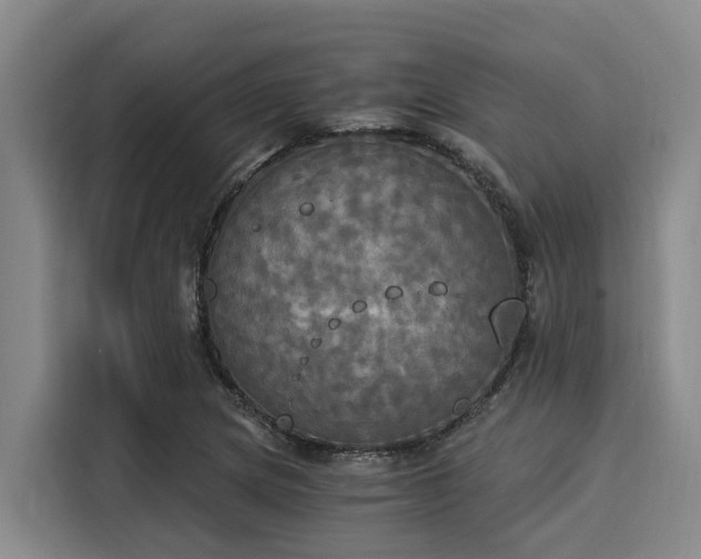 X0000116051217200911271211