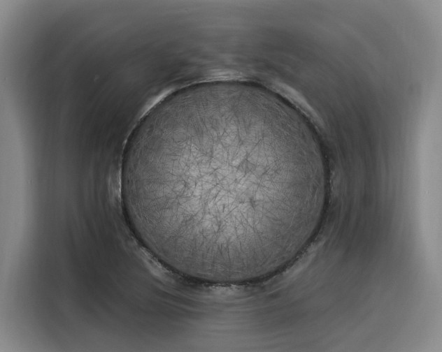 X0000116051220200911271211