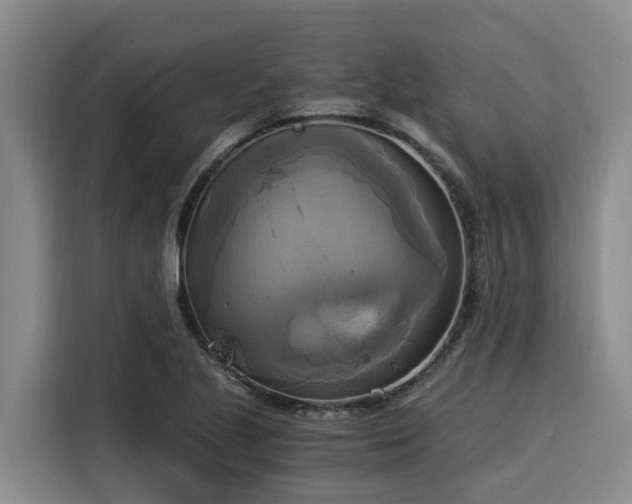 X0000116051221200911271211
