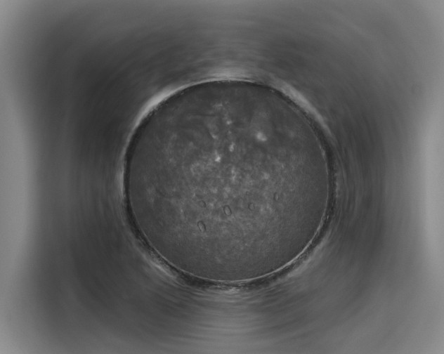 X0000116051222200911271211