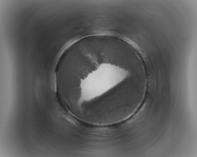 X0000116051223200911271211