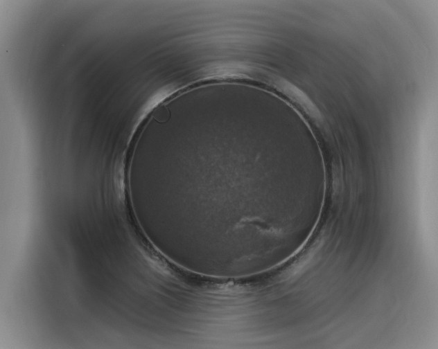X0000116051226200911271211