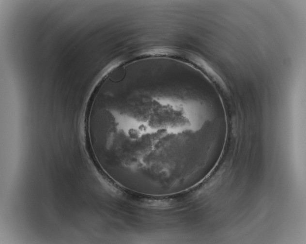 X0000116051229200911271211