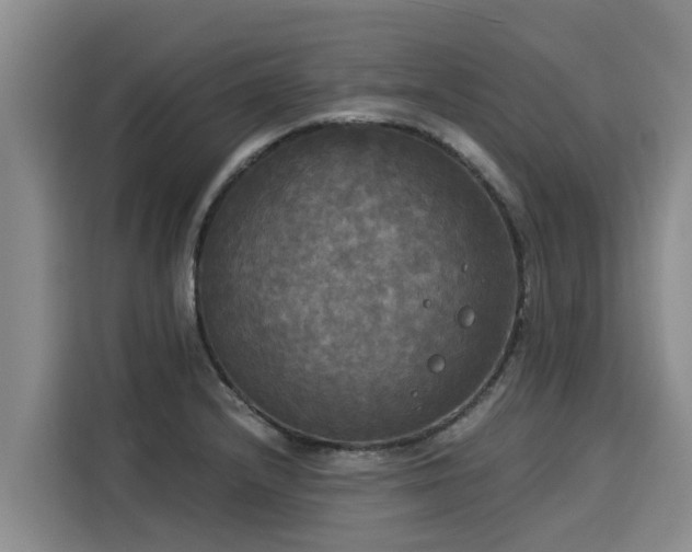 X0000116051232200911271211