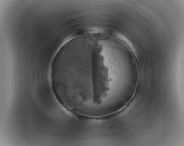 X0000116051235200911271211