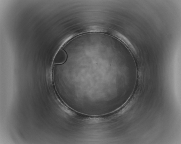 X0000116051236200911271211