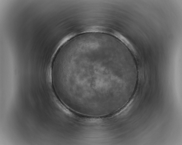 X0000116051238200911271211