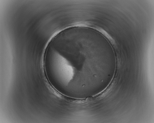 X0000116051240200911271212