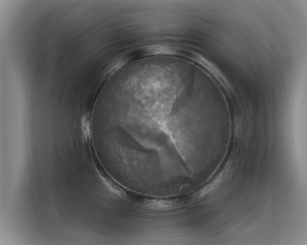 X0000116051241200911271212