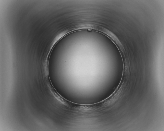X0000116051242200911271212
