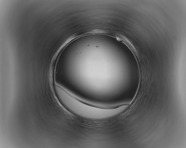 X0000116051243200911271212