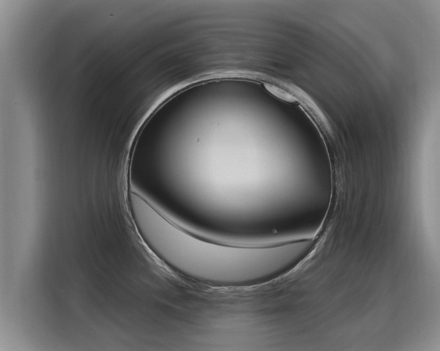 X0000116051244200911271212