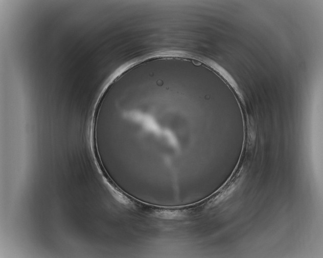 X0000116051245200911271212