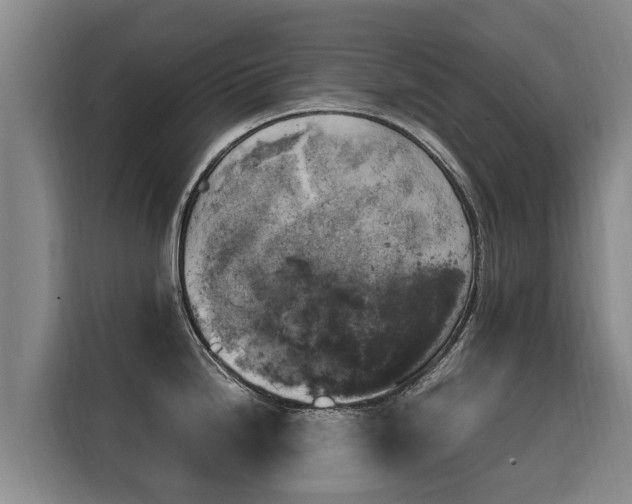 X0000116051246200911271212