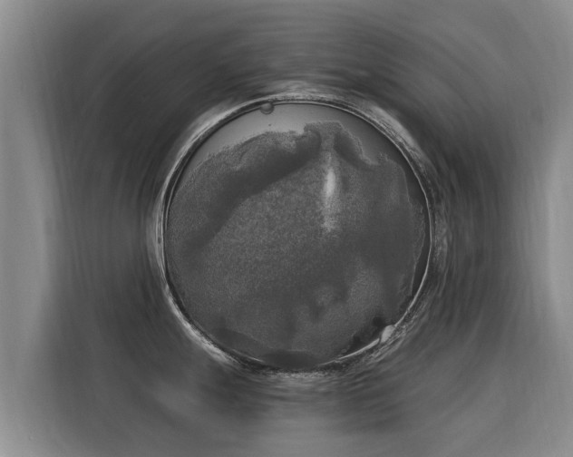X0000116051247200911271212