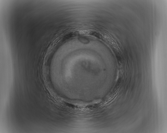 X0000116051249200911271211