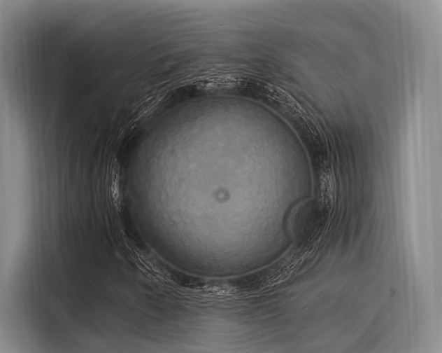 X0000116051250200911271211
