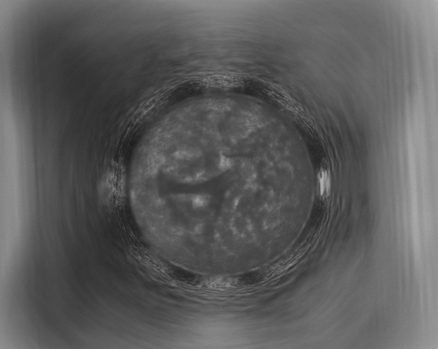 X0000116051251200911271211