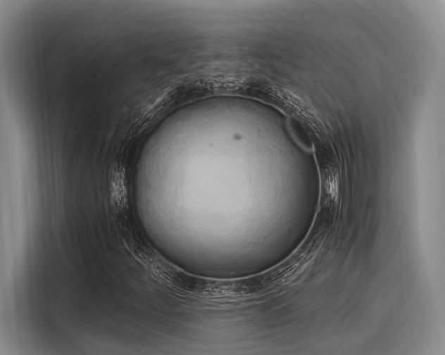 X0000116051252200911271211
