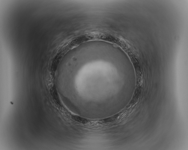 X0000116051253200911271211