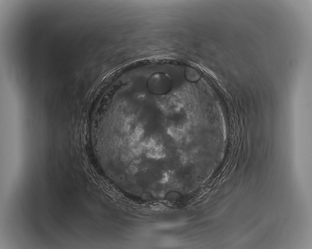 X0000116051255200911271211