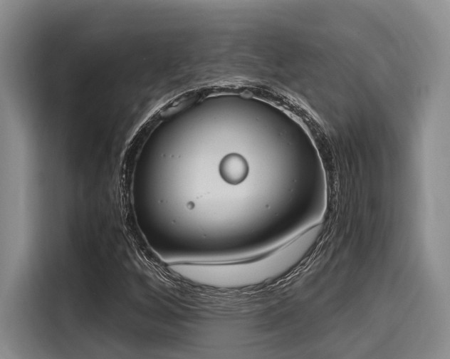 X0000116051256200911271211