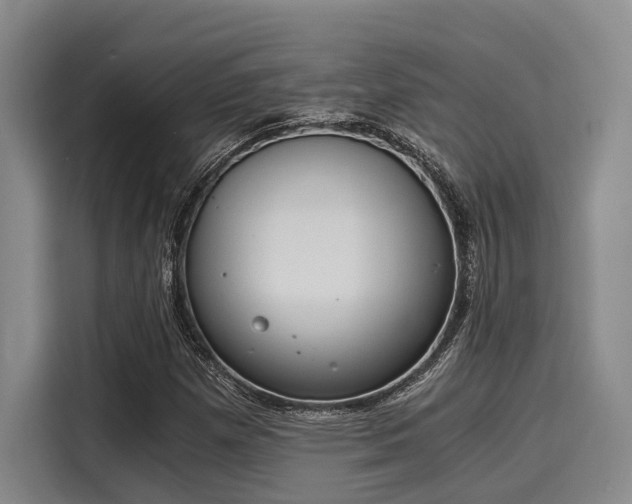 X0000116051257200911271211