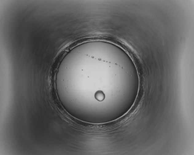 X0000116051259200911271211