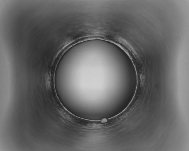 X0000116051260200911271211