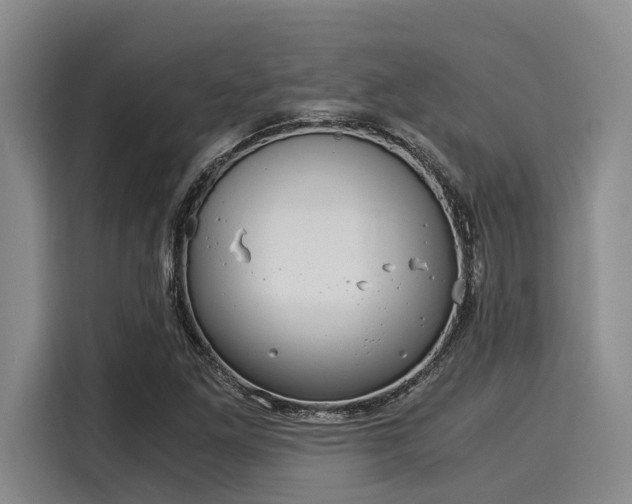 X0000116051261200911271211