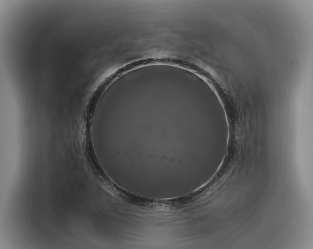 X0000116051263200911271211