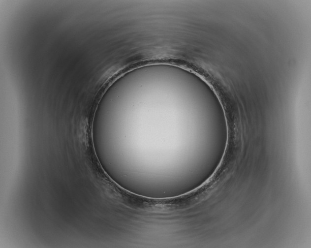 X0000116051265200911271211