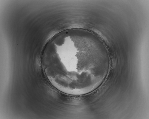 X0000116051266200911271211