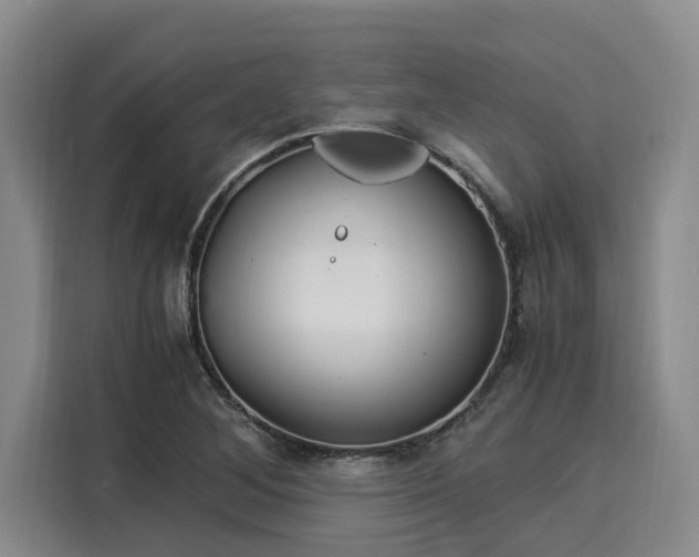 X0000116051268200911271211