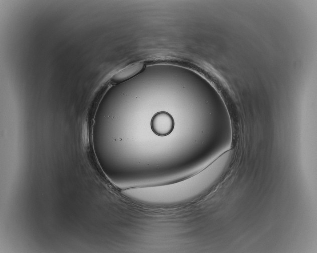X0000116051269200911271211