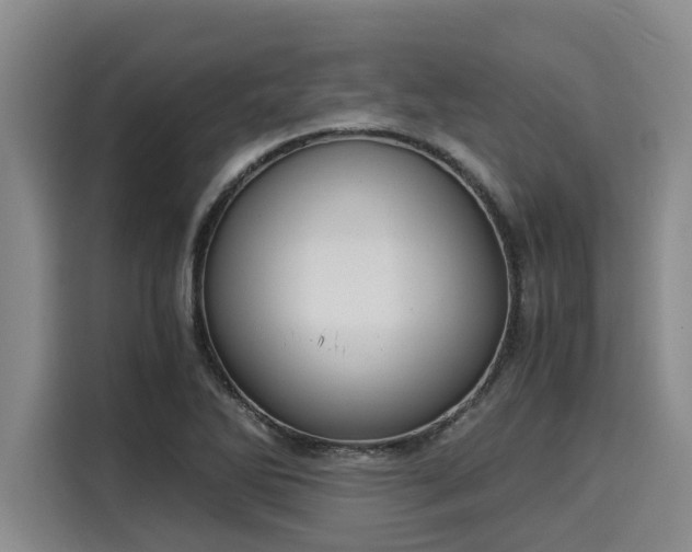 X0000116051270200911271211