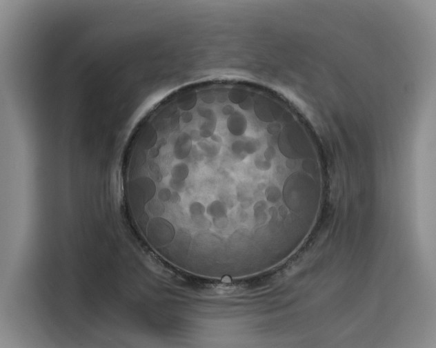 X0000116051271200911271211