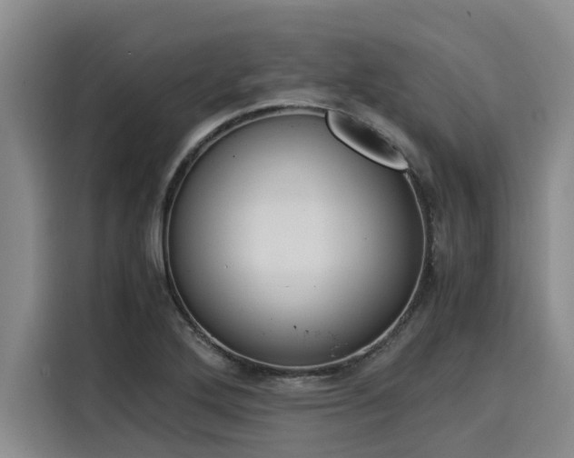 X0000116051272200911271211