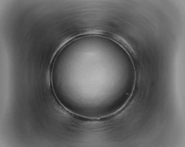X0000116051276200911271211