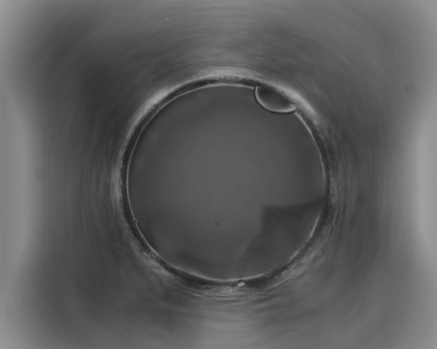 X0000116051279200911271211