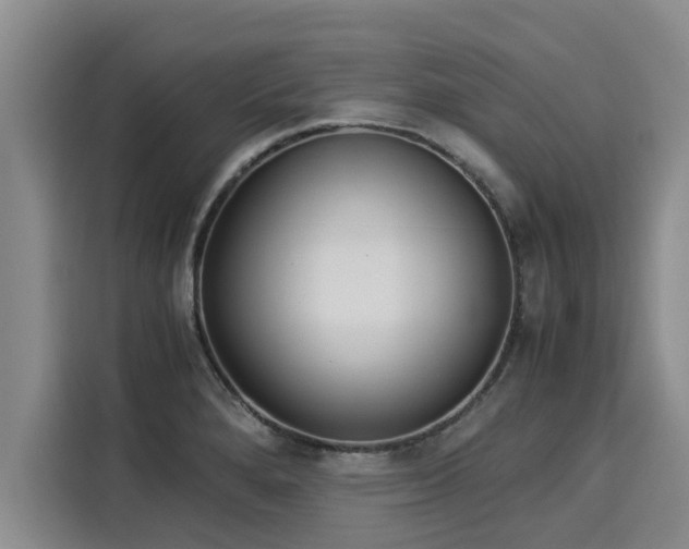X0000116051280200911271211