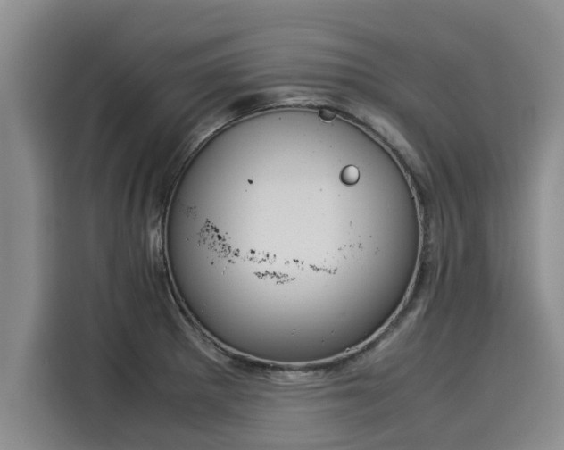 X0000116051281200911271211