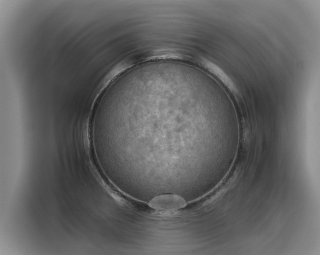 X0000116051282200911271211