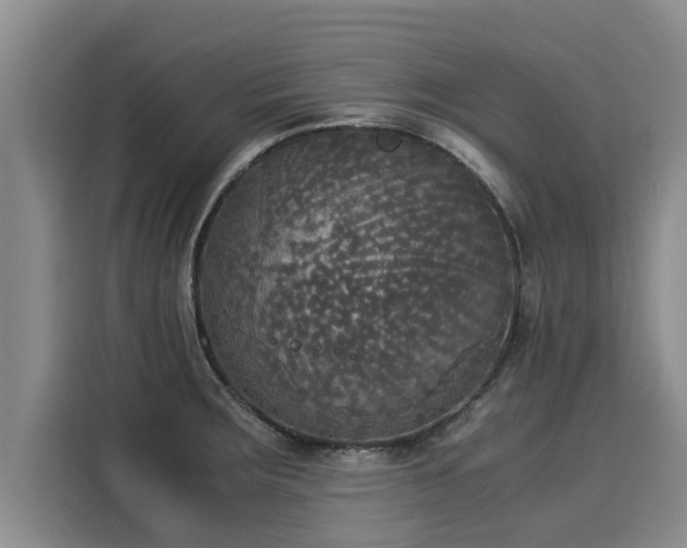 X0000116051283200911271211