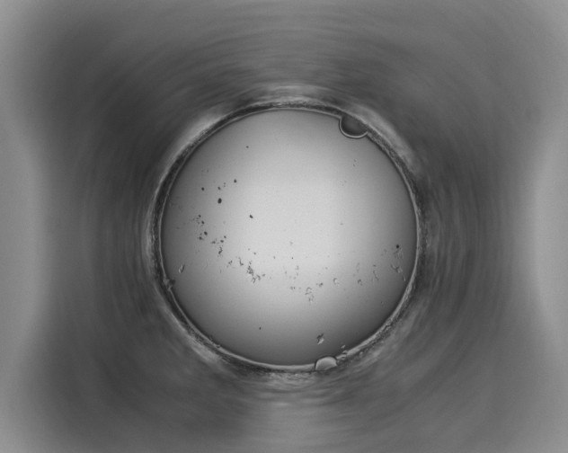 X0000116051285200911271211