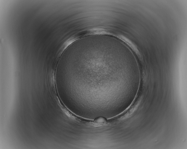 X0000116051289200911271210